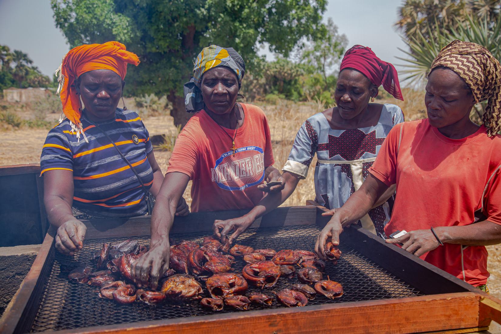 Internally Displaced Persons (IDPs) benefit from 18 Chorkor fish smoking ovens 