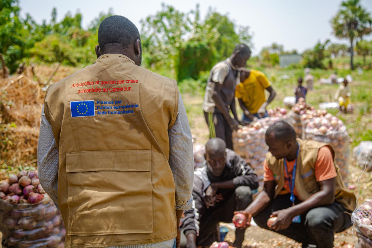 With the support provided by the ECHO-funded FAO project, families relocated to the Kinabari district have restarted their agricultural activities and are enjoying a fruitful harvest of onions