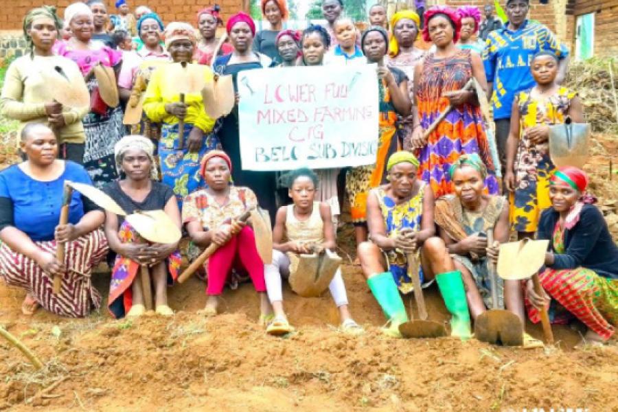 Strengthening economic power of women living along Bamenda-Ndop-Kumbo ...