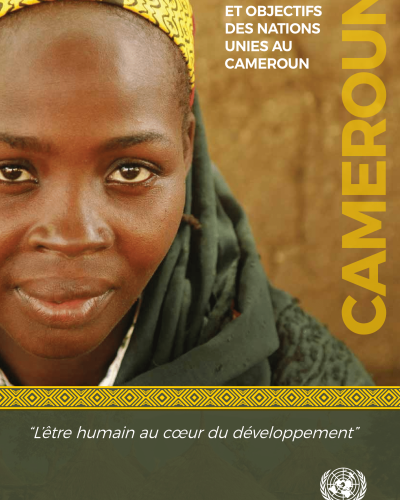 Rapport-ONU-Cameroun-2018