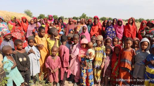 IDPs in Logone-Birni