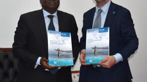FISH4ACP présente un rapport d'analyse de la chaîne de valeur de la crevette au Cameroun 