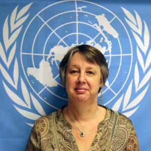 Karen Perrin, Head of office, OCHA